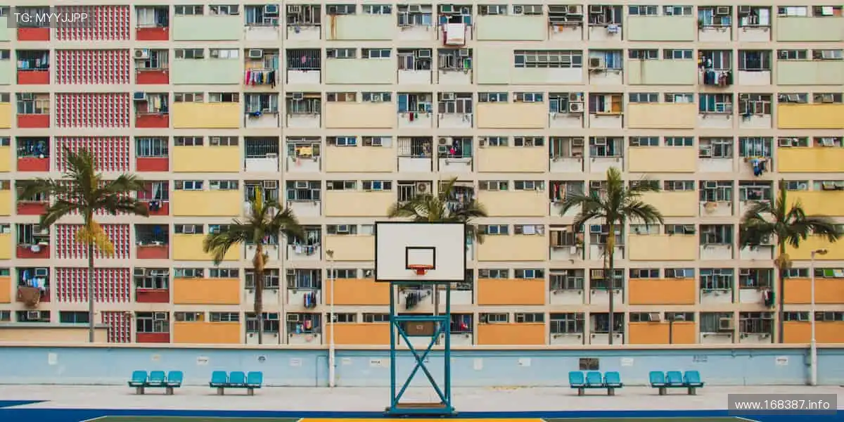 🏅 荣耀时刻，与你共赏！🎉